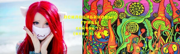 молекула духа Богородск